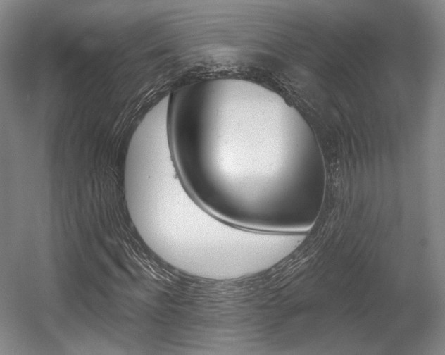 X0000056010916200508190850