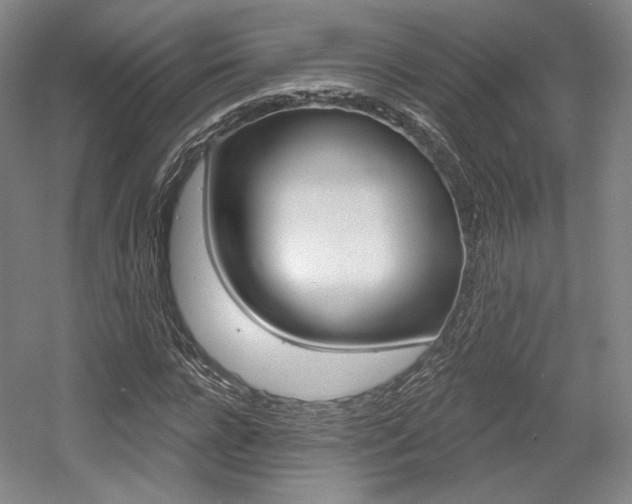 X0000056010920200508190850