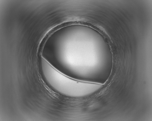 X0000056010927200508190850