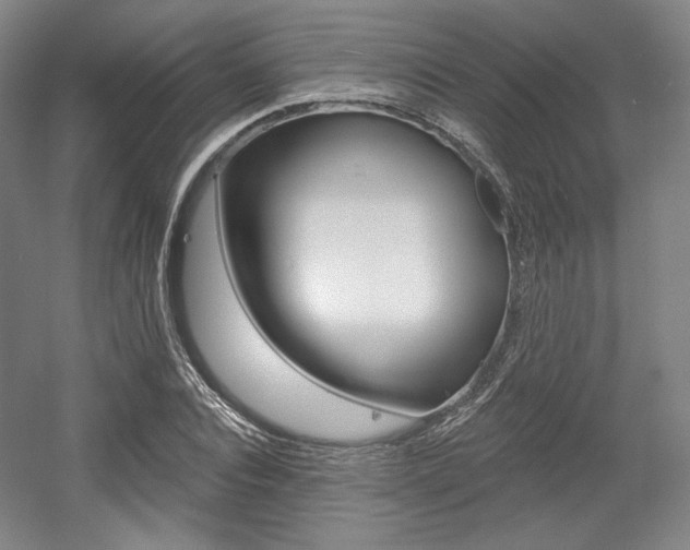 X0000056010928200508190850