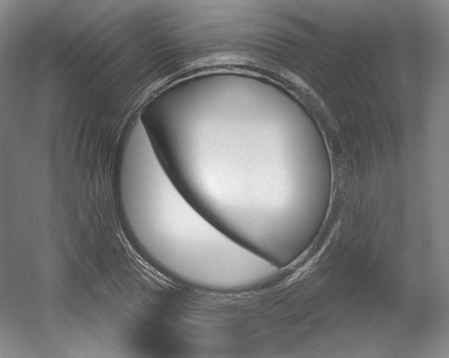 X0000056010929200508190850