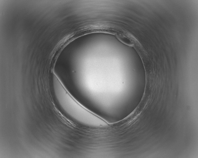 X0000056010930200508190850