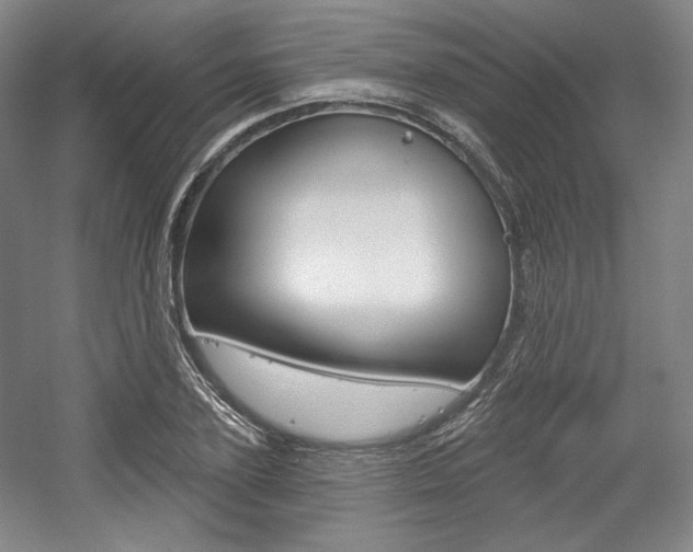X0000056010931200508190850