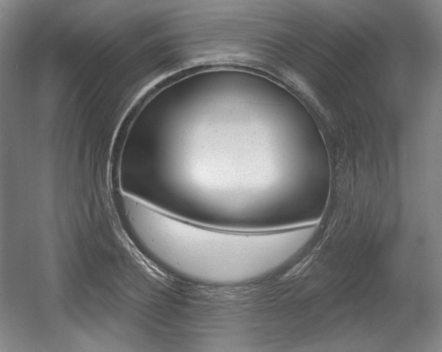 X0000056010932200508190850