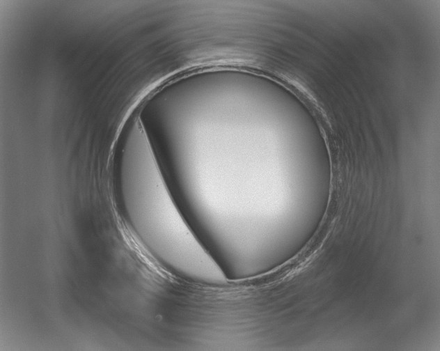 X0000056010933200508190850