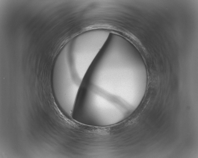 X0000056010937200508190850