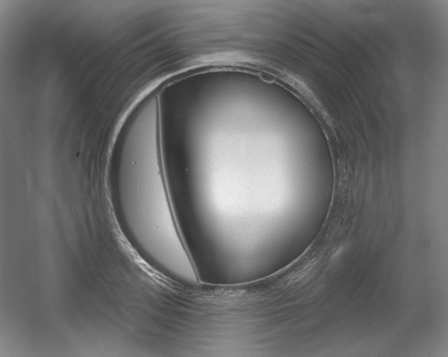 X0000056010939200508190850
