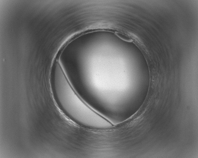 X0000056010942200508190850