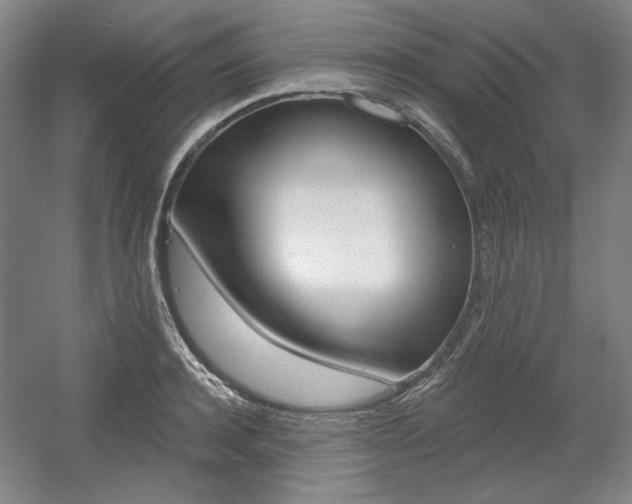 X0000056010944200508190850