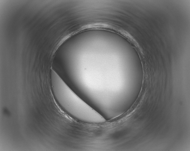 X0000056010945200508190850