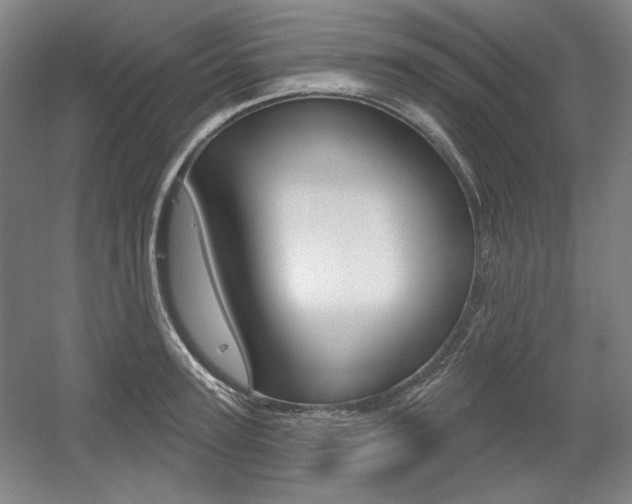 X0000056010947200508190850
