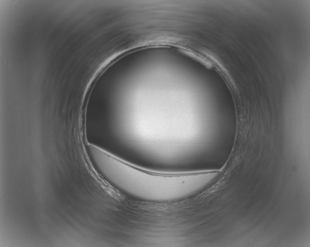 X0000056010948200508190850