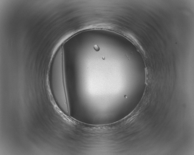 X0000056010952200508190850