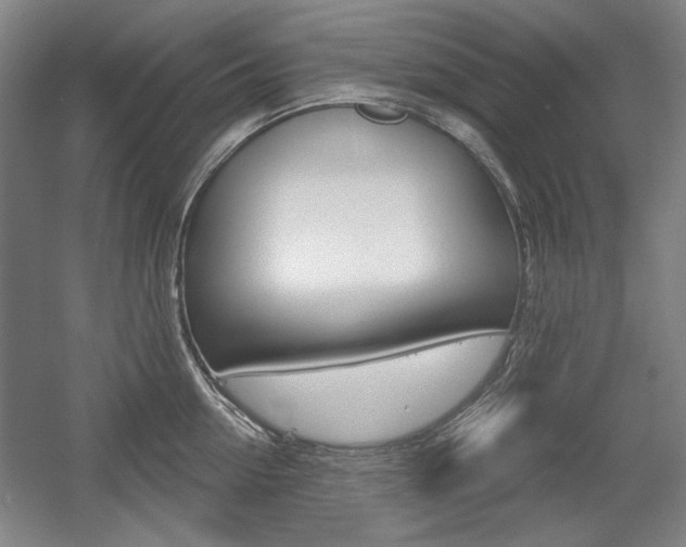X0000056010954200508190850
