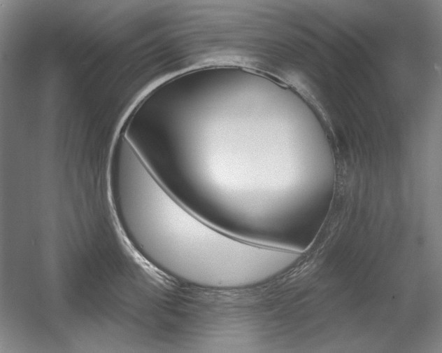 X0000056010955200508190850