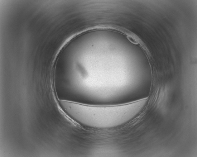 X0000056010958200508190851