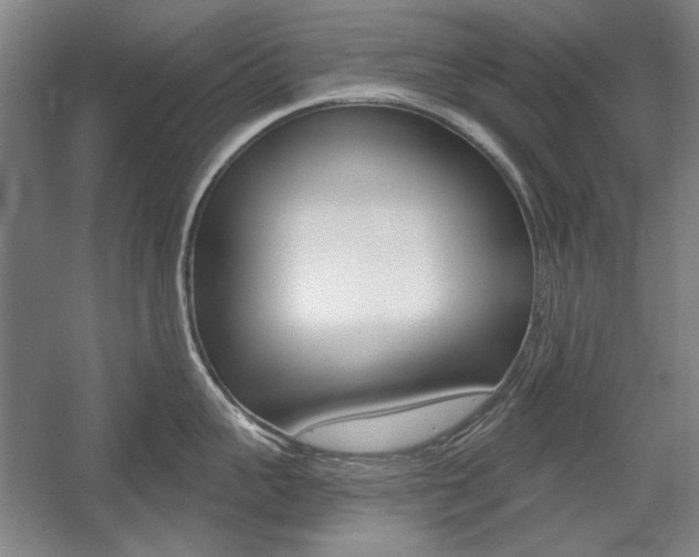 X0000056010959200508190851