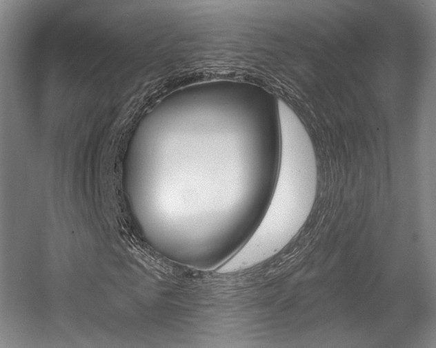 X0000056010961200508190850