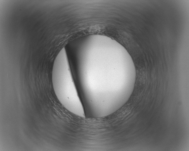 X0000056010962200508190850
