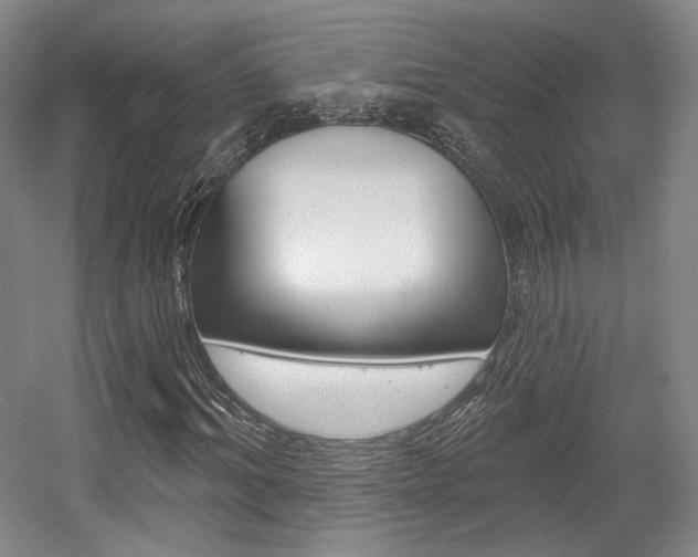 X0000056010964200508190850
