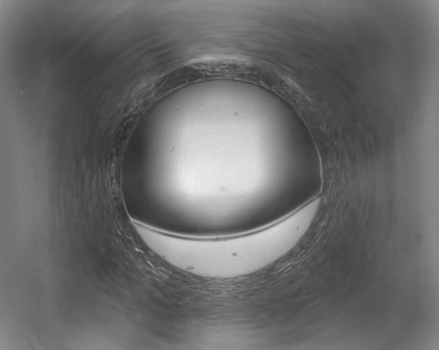 X0000056010965200508190850