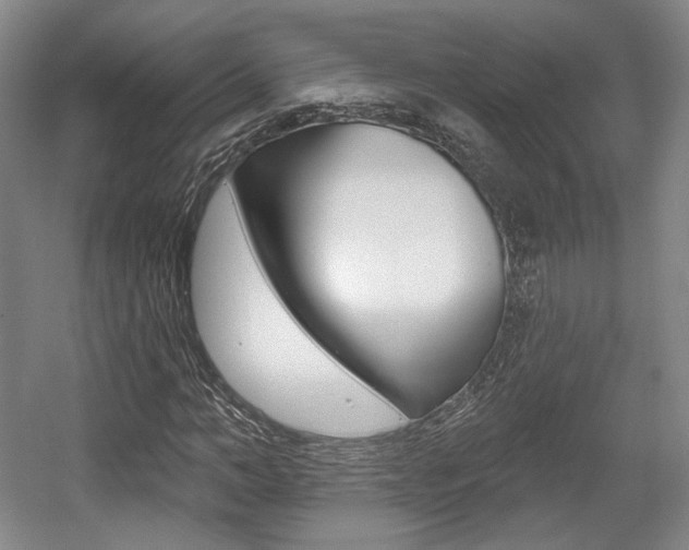 X0000056010966200508190850