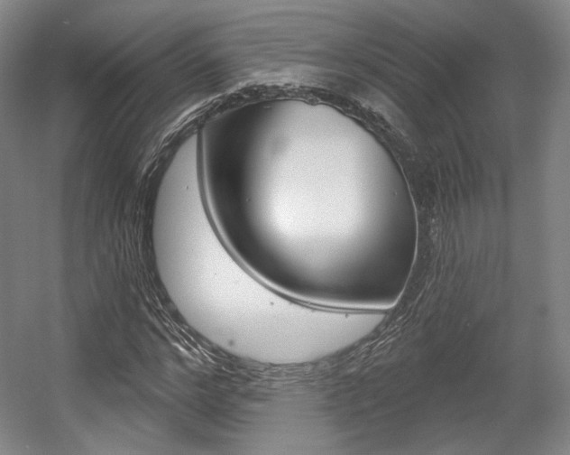 X0000056010968200508190850