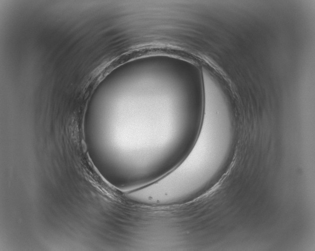 X0000056010969200508190850