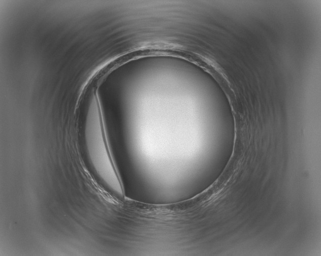 X0000056010971200508190850