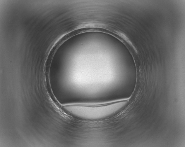 X0000056010972200508190850