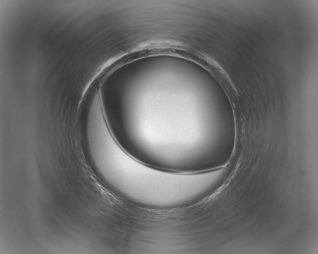 X0000056010973200508190850