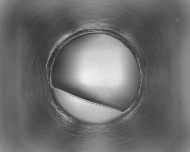 X0000056010974200508190850