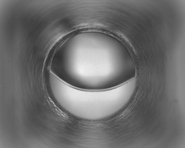 X0000056010975200508190850