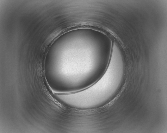 X0000056010977200508190849