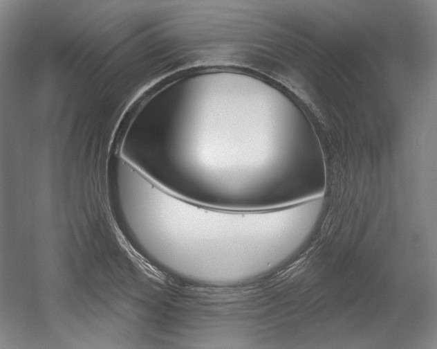 X0000056010980200508190849