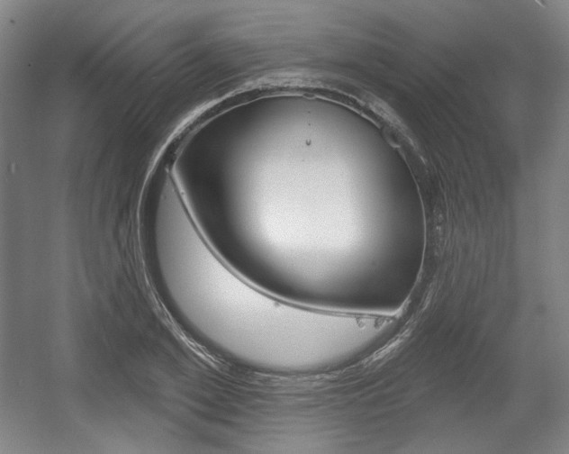 X0000056010981200508190849