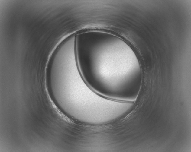 X0000056010984200508190849