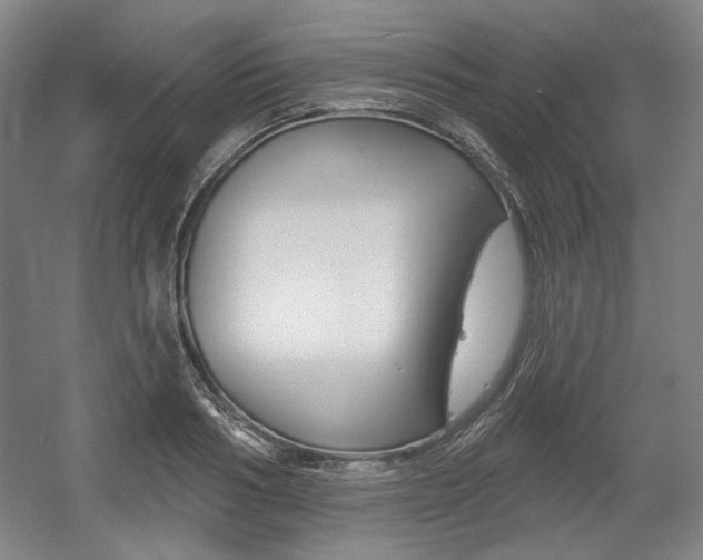 X0000056010986200508190849