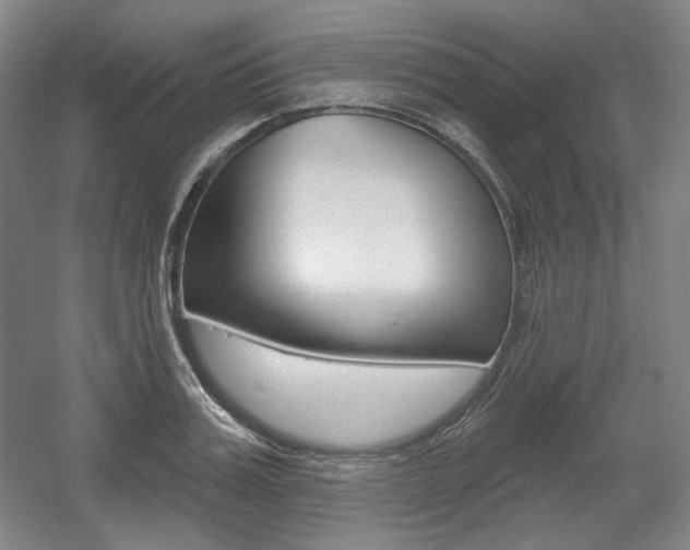 X0000056010987200508190849