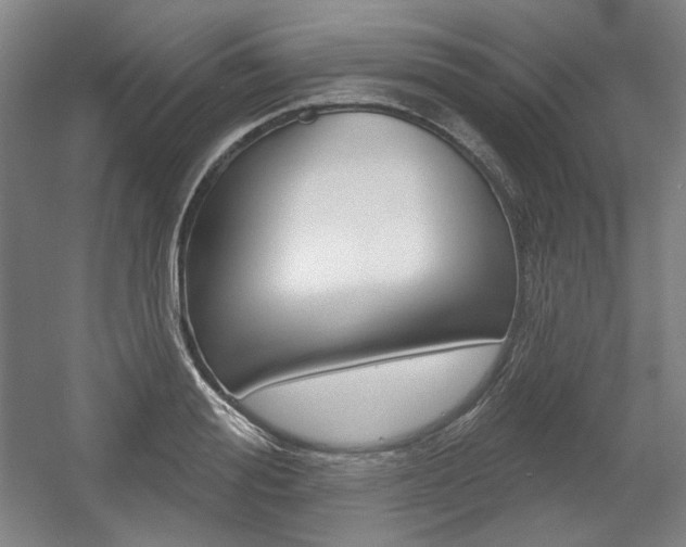 X0000056010988200508190849
