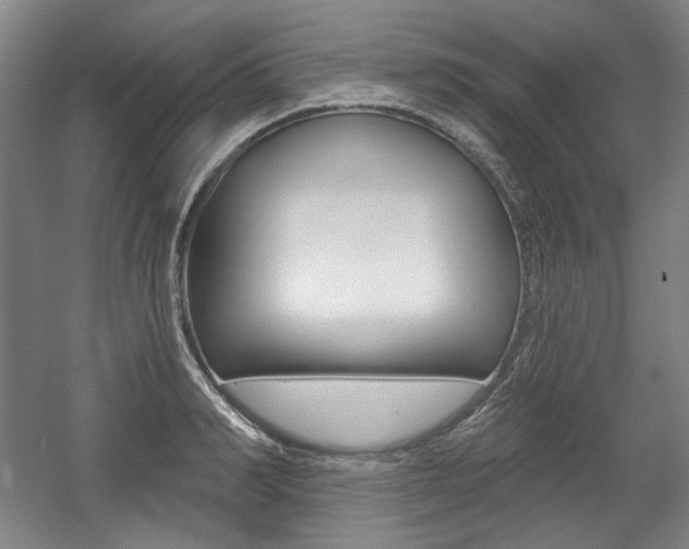 X0000056010990200508190849