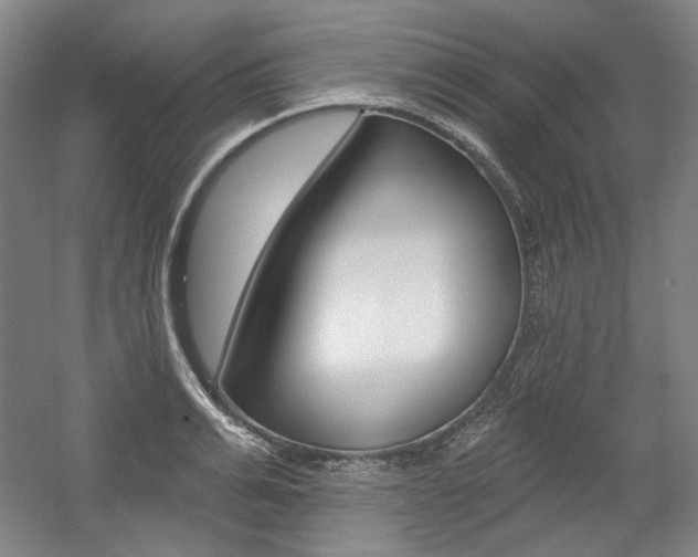 X0000056010991200508190849