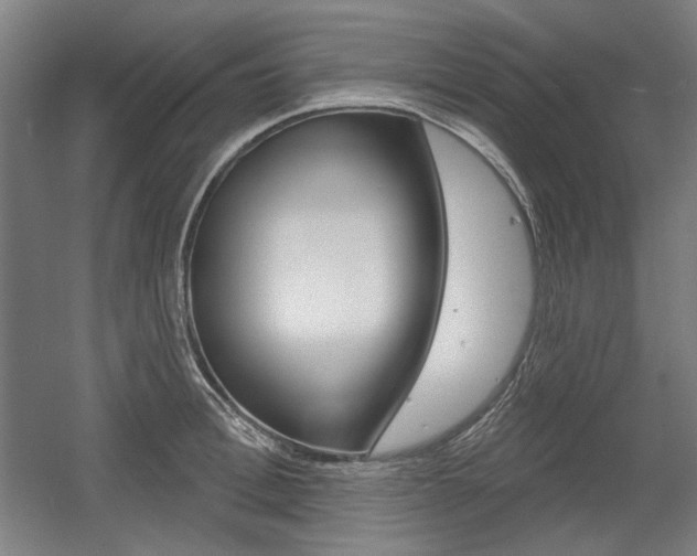 X0000056010996200508190849