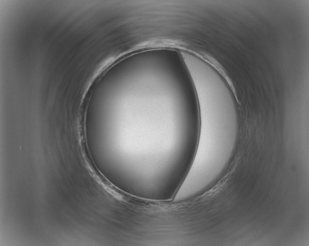 X0000056010997200508190849