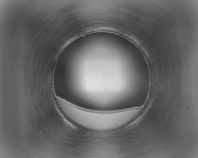 X0000056011001200508190849