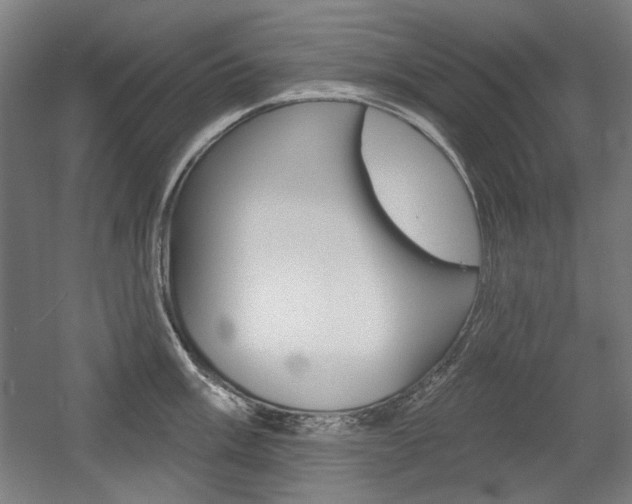 X0000056011003200508190849