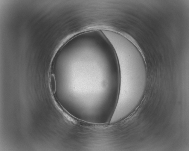 X0000056011005200508190849