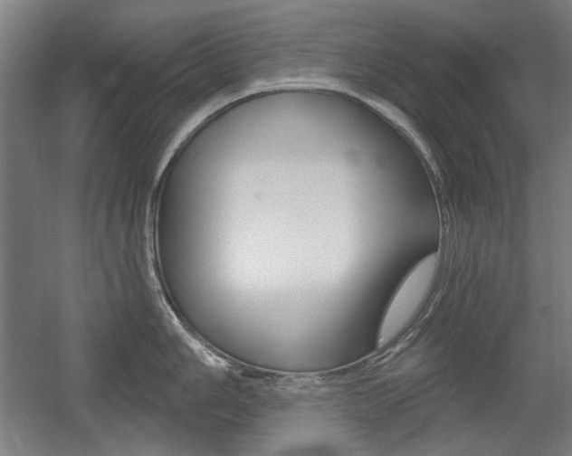 X0000056011006200508190849