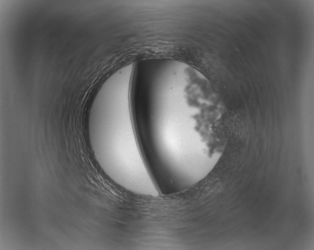 X0000056011009200508190848