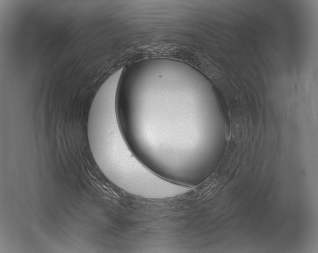 X0000056011010200508190848